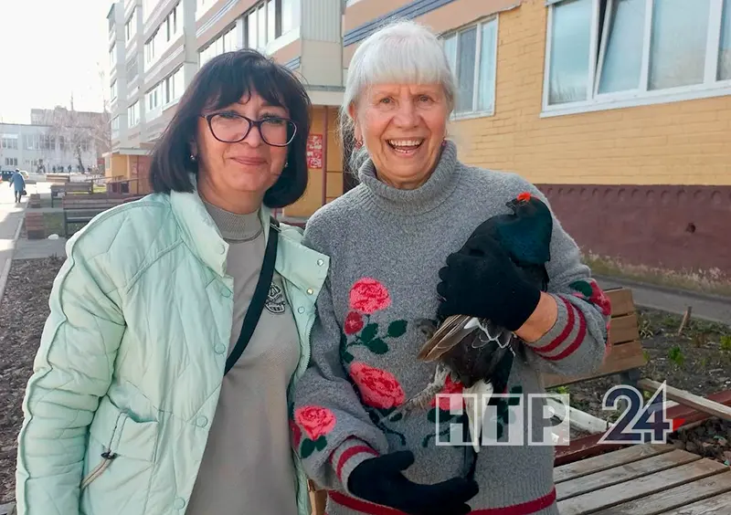 Нижнекамцы спасли лесного жителя, залетевшего в их подъезд – видео