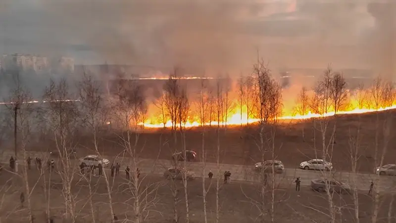 В 2023 году в Нижнекамском районе произошло 190 возгораний сухой травы и мусора