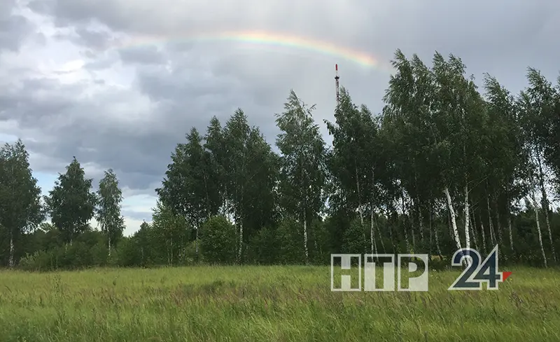 В понедельник татарстанцев ожидают дождь и ветер до 14 м/с