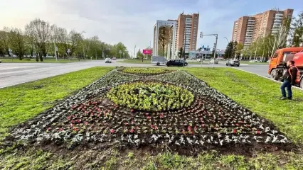 В Нижнекамске высадили бархатцы и петунии