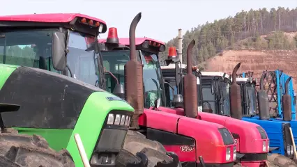 Нижнекамские аграрии победили в республиканском конкурсе