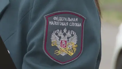 «Очень крупный должник там есть»: долг по налогам по Нижнекамскому району превысил 2 млрд руб.