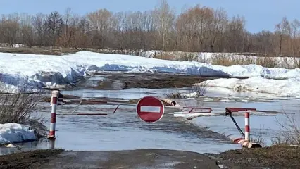 В Татарстане затопило 5 мостов, два участка дорог и 81 приусадебный участок