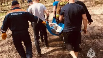 В Казани на пенсионерку упало дерево и повредило ногу