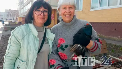 Нижнекамцы спасли лесного жителя, залетевшего в их подъезд – видео