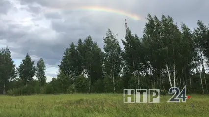 В понедельник татарстанцев ожидают дождь и ветер до 14 м/с