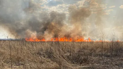 Нижнекамцам напомнили о штрафах за сжигание сухой травы и мусора