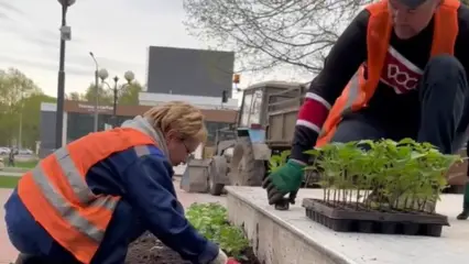 Парки Нижнекамска начали украшать цветами