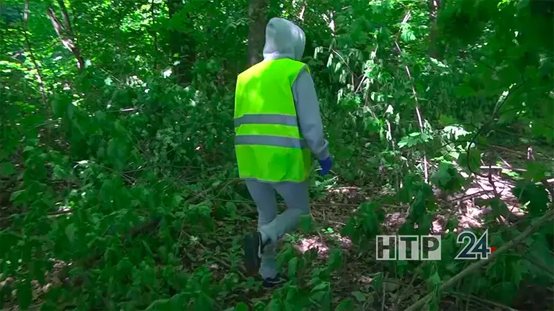 В Нижнекамске третий день подряд ищут пропавшего пенсионера с деменцией