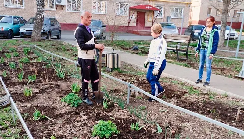 Нижнекамцы в своём дворе высадили цветы и выложили дорожку