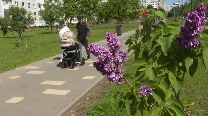 В Нижнекамске коммунальщики высадили новые саженцы в сирингарии взамен погибших