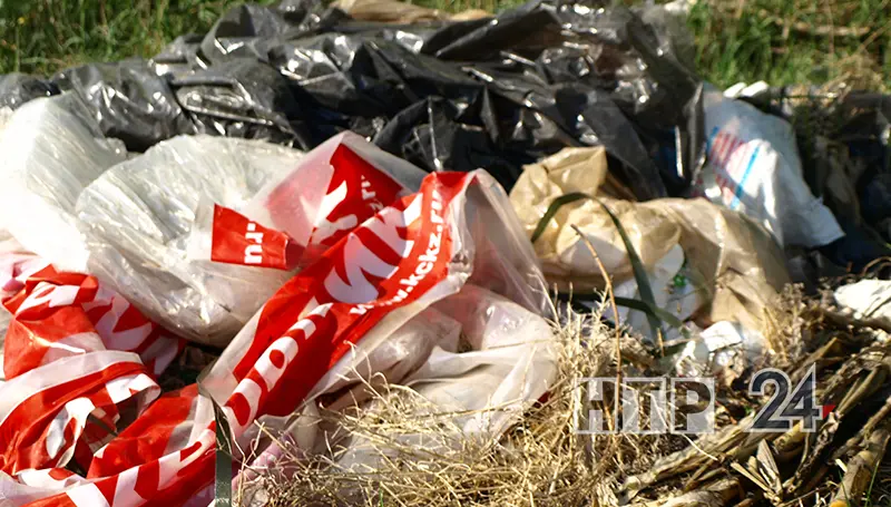 Нижнекамцев пригласили на субботник по ликвидации свалки у усадьбы Стахеева