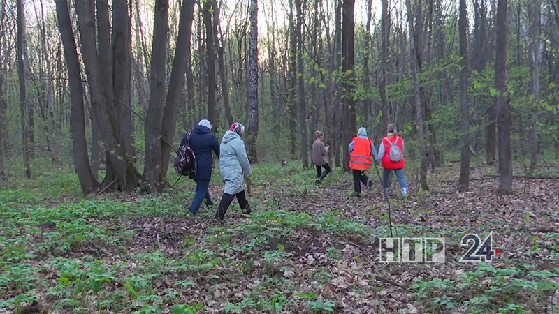 В Нижнекамске продолжаются поиски пропавшего пенсионера, объявлен сбор