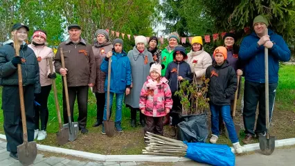 Несмотря на погоду нижнекамцы вышли на посадку сосен и каштанов