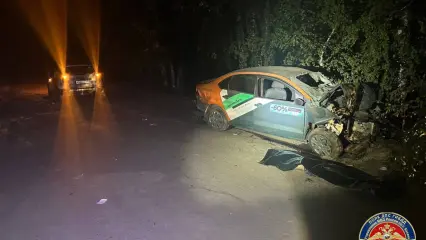 В Казани водитель каршеринга без прав врезался в дерево, пассажир погиб