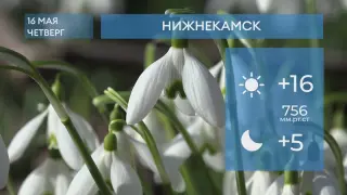 Прогноз погоды в Нижнекамске на 16-е мая 2024 года