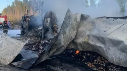 На трассе М-12 столкнулись и загорелись два грузовика, погиб водитель