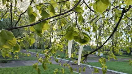 Вильфанд объяснил причину аномального похолодания в мае