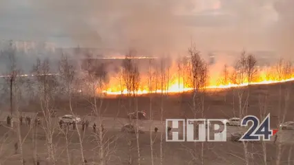 Из-за высокой пожарной опасности в Татарстане объявлено штормовое предупреждение