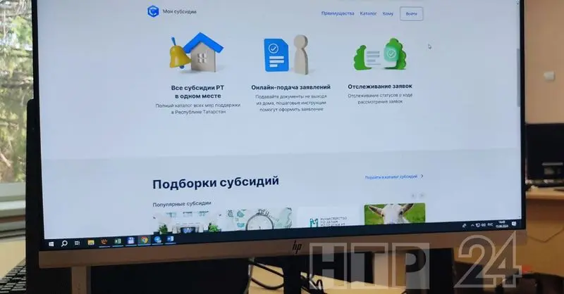 «Мои субсидии» — меры поддержки предпринимателей и фермеров в Татарстане