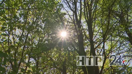 В Татарстане вновь ожидаются магнитные бури