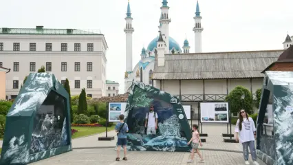 В Татарстане открыли выставку о снежном барсе