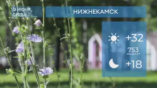 Прогноз погоды в Нижнекамске на 12-е июня 2024 года