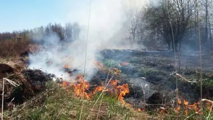 В Татарстане объявили штормовое предупреждение из-за высокой пожароопасности