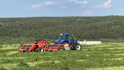 В Нижнекамском районе началась зеленая страда