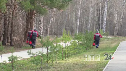 В Нижнекамске обработали более 1 млн кв. метров от клещей