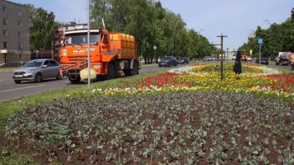 В Нижнекамске на пр. Строителей появился «цветочный ковер»