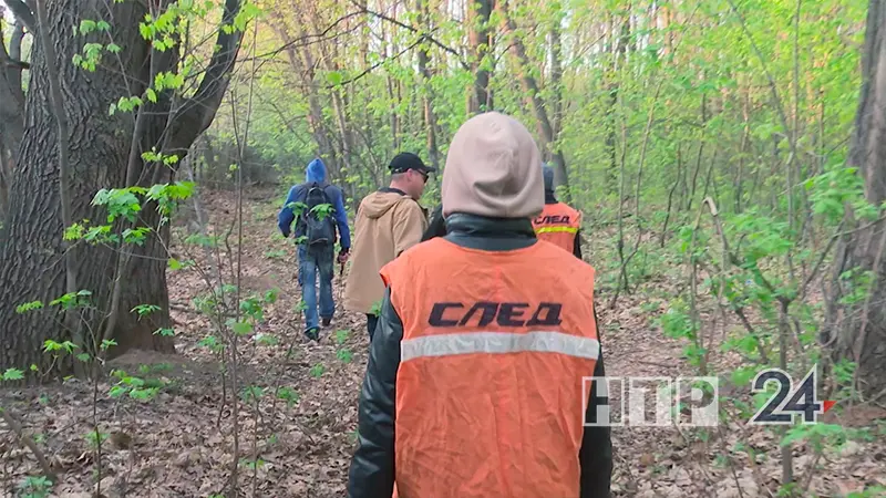 В Нижнекамске объявлен сбор на поиск в лесах и оврагах пропавшего человека