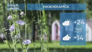 Прогноз погоды в Нижнекамске на 13-е июля 2024 года