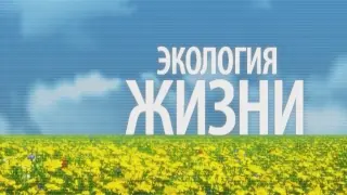 Экология жизни. Эфир 30.10.2014