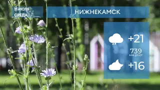 Прогноз погоды в Нижнекамске на 31-е июля 2024 года