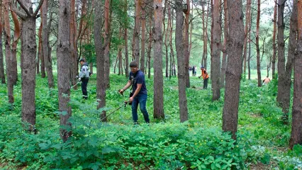 Руководители Нижнекамска вышли на субботник в парк «Семья»