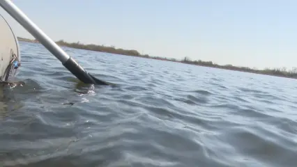 В Нижнекамске осудили рыбака-браконьера