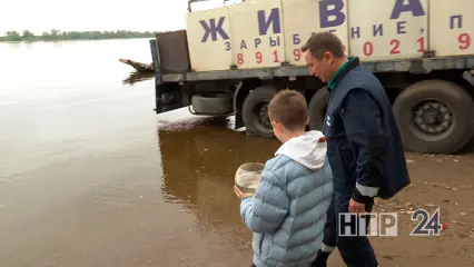 В рамках экоакции в Каму выпустили 200 тысяч мальков стерляди