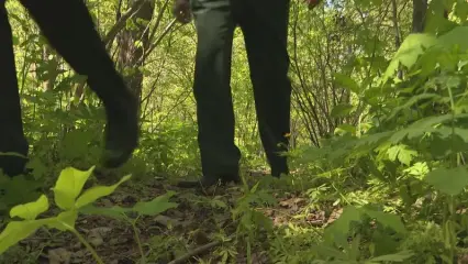 В Нижнекамском районе запрещено посещение лесов из-за пожарной опасности