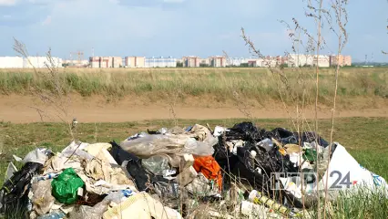 Жителям Татарстана рассказали, куда можно писать, если не вывозится мусор