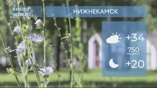 Прогноз погоды в Нижнекамске на 4-е июля 2024 года