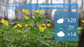 Прогноз погоды в Нижнекамске на 17-е августа 2024 года