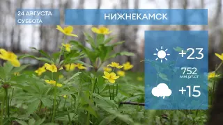 Прогноз погоды в Нижнекамске на 24-е августа 2024 года