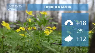 Прогноз погоды в Нижнекамске на 14-е августа 2024 года