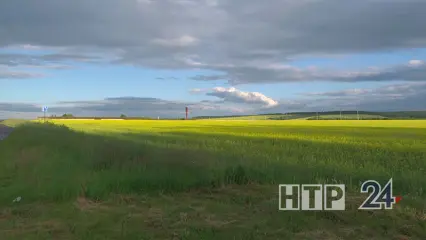 Гроза и дожди не оставят в покое жителей Татарстана в ближайшее воскресенье