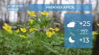 Прогноз погоды в Нижнекамске на 27-е августа 2024 года