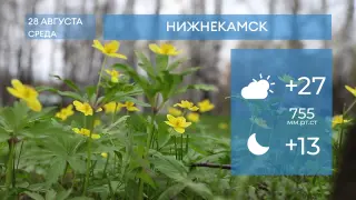 Прогноз погоды в Нижнекамске на 28-е августа 2024 года