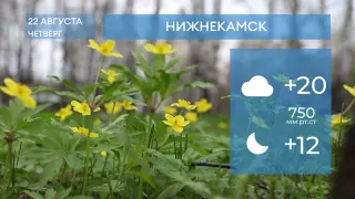 Прогноз погоды в Нижнекамске на 22-е августа 2024 года