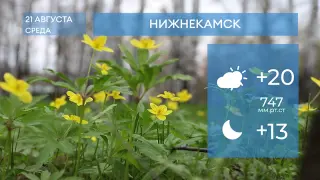 Прогноз погоды в Нижнекамске на 21-е августа 2024 года