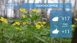 Прогноз погоды в Нижнекамске на 15-е августа 2024 года